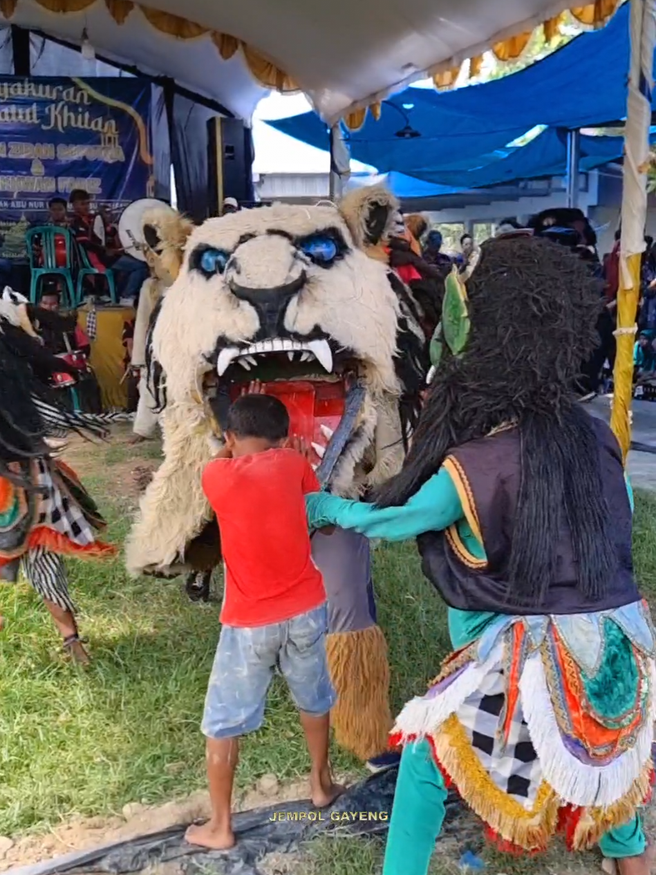 BRINGAS !! Bocah Baju Merah Dicaplok Barongan Macan #jempolgeyeng 