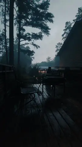 🖤🌲🍃🥹☔️🌧 #wallpaper #nature #2025 #cloudy #lluvia #🌧️🌧️⛈️⛈️☔☔🌧️🌧️⛈️⛈️☔☔ #dark #rain #cinematic #wallpaper #relax #darkness #peace #mood 