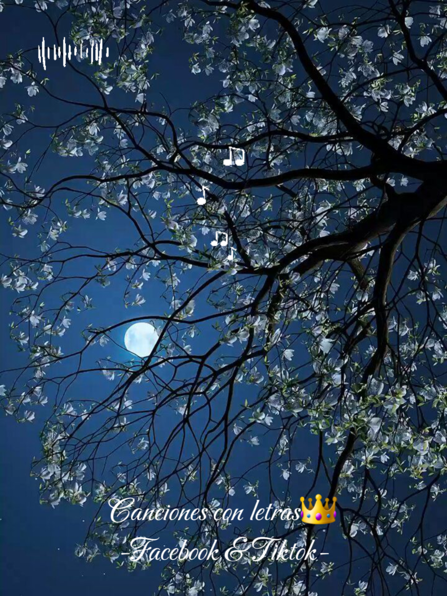 Napoleón-Eres✨️ #cancionesconletras👑 #paratiiiiiiiiiiiiiiiiiiiiiiiiiiiiiii #viralpost #napoleon #josemarianapoleon #oldmusic 