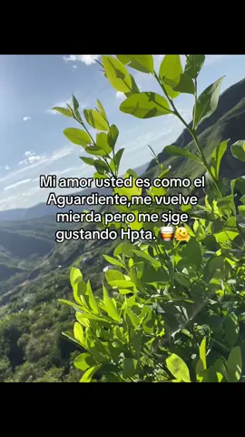 #paratiiiiiiiiiiiiiiiiiiiiiiiiiiiiiii #viral #pyfツ #contenido 🥃