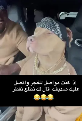 ‏#fyp #foryou #f #😂😂😂😂😂😂😂😂😂😂😂😂😂😂😂 #😂😂😂😂😂 #😂😂😂 #😂 #السعودية #الشعب_الصيني_ماله_حل #الشعب_الصيني_ماله_حل😂😂 #ضحك_وناسة #comediahumor #comedia #0324mytest #funny #دويتو #الخليج #الامارات #الكويت #اضحكو_بحب_اشوفكم_مبسوطين  #الشعب_الصيني_ماله_حل😂😂🏃🏻‍♀️ #fypシ #اضحك_من_قلبك  #مالي_خلق_احط_هاشتاقات🦦 #الشعب_الصيني_ماله_حل😂😂🏃🏻‍♀️#fypシ゚ #fypage #fypp #o #on #tiktok #capcut #هههههههههههههههههههههههههههههههههههههه