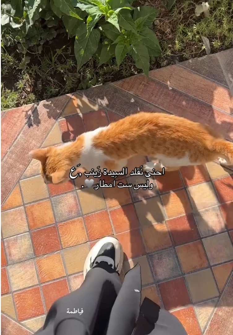الحِمداللهُ♥️ #fyp 