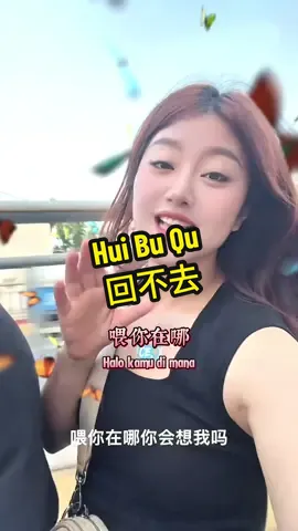 #CapCut Hui Bu Qu #回不去#THEICEX #template #版模分享 #mandarinsong #chinesesong 