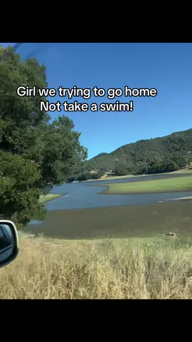 Chill is trying to drive home and here goes Siri with her bullShiitt.. #siri#gps#chill #popmart #labubu #lake #drivehomefromwork #right #lies #wrongway #turn 