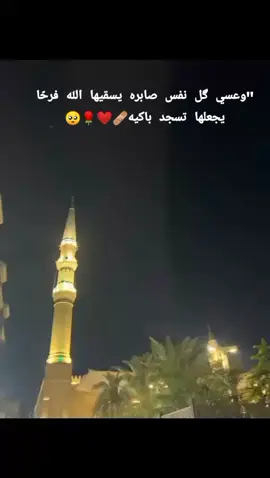 ‏@🌿:﴿ويِبقئ اللّٰه حيِنِ لا يِبقئ ٱﺣـدٍ﴾#ــــــــ❥ــہہـــہــہہـ❥ــــــہ #ـہ♡♡༺༽🖤👑 