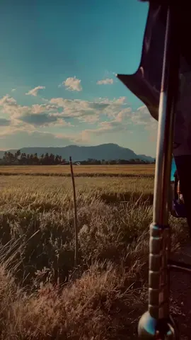 🤍😩 #fyppppppppppppppppppppppp #foryoupage #fyp #foryou #evening #viraltiktok #cloud #sun #sunset #sky #backgroundvideo #onebillionaudition #onemillionaudition #clouds_454 #tiktok🇱🇰srilanka 