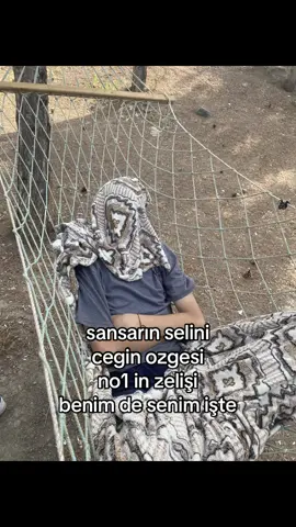 öhm #sansarsalvo #jagged #ceg #no1 