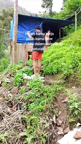 #fypシ゚ #tambangsuwawa #tibor19 #viralvideo 