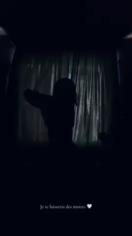 Je te laisserai des monts. 🤍 #violin #jetelaisseraidesmots #cover #violinist #fyp 