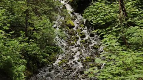 Nature with music and sound #cinatography #videoghraphy #shortfilm 