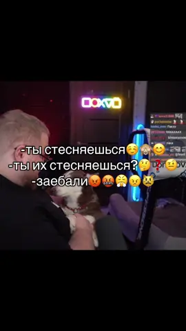 бедная собака, надоели вы все ей