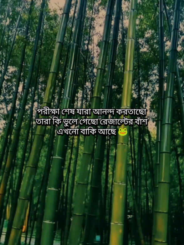 রেজাল্টের বাঁশ এখনো বাকি আছে 🐸😒#foryou🍁 #foryoupage #200kviews #🐸🐸 #yourshipat #foryoupageofficiall 