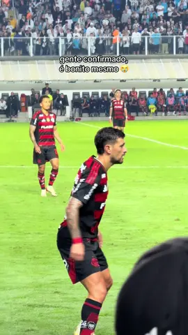 esse homem deveria ficar com o cabelo platinado pra sempre #arrascaeta #flamengo #santos #futebol #brasileirao #fyp 