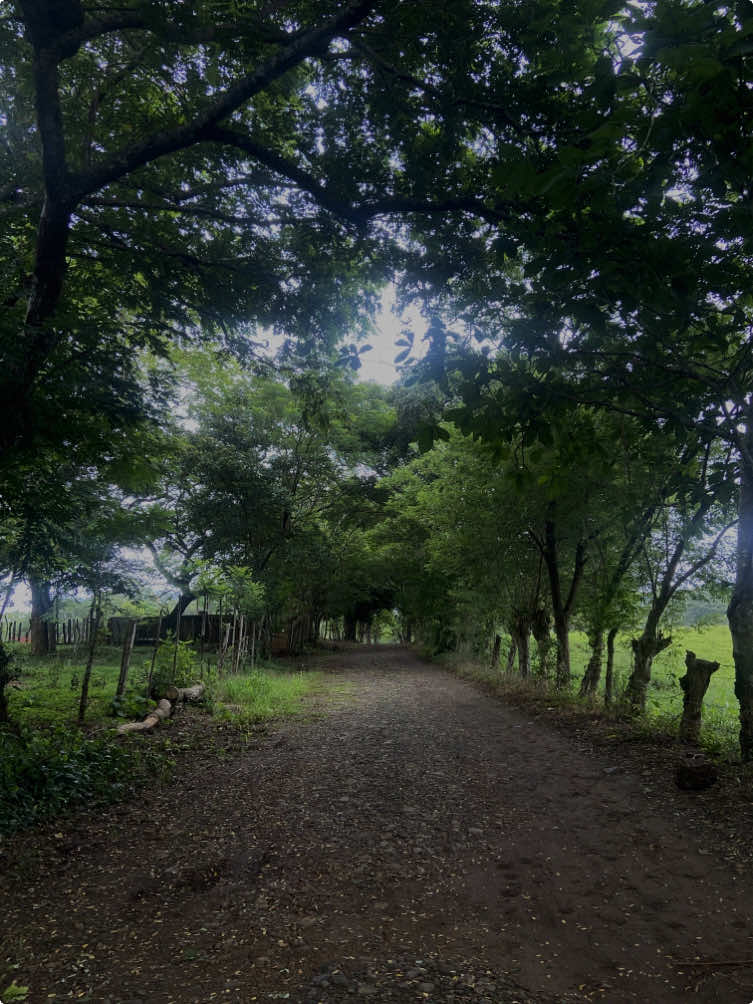 Un espacio para correr, sanar y reír quieres iniciar tu ✨running era✨ y eres de Ch?💓 @runniheras #motivation #runningera #pty #chiriqui #Running 