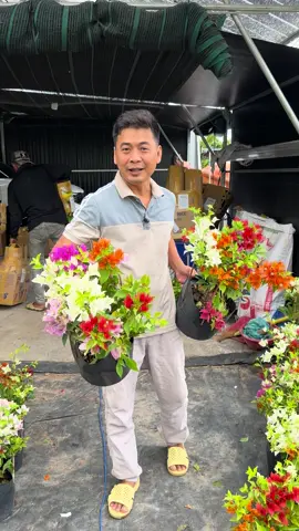 Hoa giấy ghép nhiều màu #hoagiay #hoagiayngusac #mehoagiay #vuonsutranson 