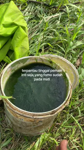 🗿🗿🗿 #storymancing #mancingliar #nila #angler #fyp 