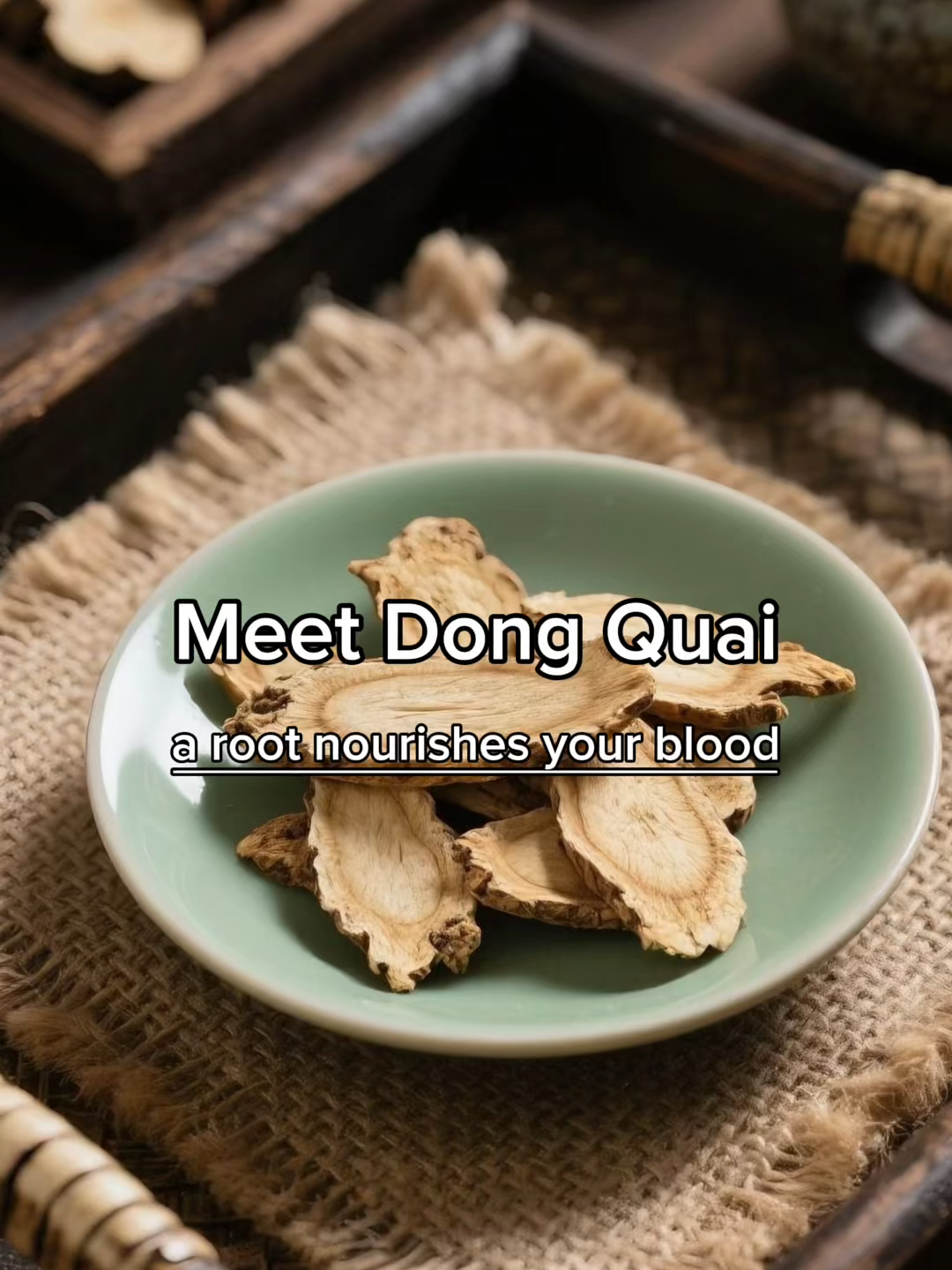 Can you believe we actually brought the incense monks use at Potala Palace? Yep — it’s called Potala Palace. What makes it so special? It’s powered by Dong Quai 💨🌿 This earthy root makes up 17% of the blend — the highest of any herb — and brings deep grounding energy. Bonus: you can make soup or tea with it too. #meditation #herbs#herbalmedicine #incense #traditionalchinesemedicine #tibet#lhasaremedy