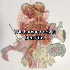 #human #body #fyp #fypシ #fypシ゚viral 