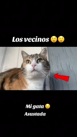 Jaja #humortiktok #fyp #parati 