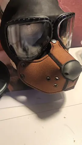 gasmask pup hood? found the m40 gas mask on marketplace the other day and had some extra 