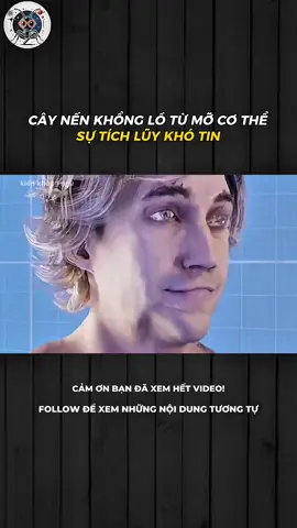 CÂY NẾN KHỔNG LỒ TỪ MỠ CƠ THỂ – SỰ TÍCH LŨY KHÓ TIN #LearnOnTikTok #xh #khampha #khoahoc 