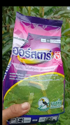 #กําจัดแมลง #สารกําจัดแมลง #รีวิว #ใช้ดีบอกต่อ #เกษตรสาวภูธร 