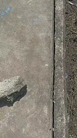 ngawann jieee #logung #kudus #logungkudus #logungkandangmas ##logung  @息子 