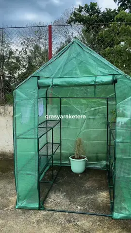 DIY Portable Greenhouse #Greenhouse #hydrophonics🌱 #lettuce #herbs #Backyardgraden 