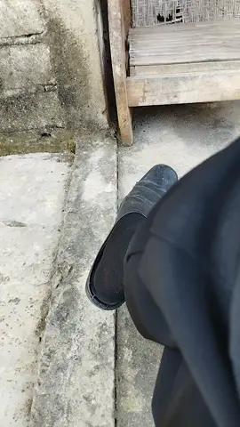 Sulastri minggat cvk😮‍💨#plecitstory #plecitnkri #koperasimingguan #plecithitz 