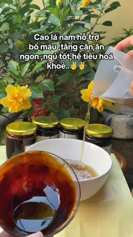 Cao lá nam hỗ trợ ăn ngon ngủ tốt tiêu hoá khoẻ tăng 2/4kg hiêu quả..👍👍