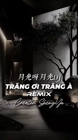 Nhạc Trung này nhẹ mà cuốn | Trăng Ơi Trăng À - 月光呀月光 #nhachaymoingay #盛宇shengyu #CapCut #fby #xh 
