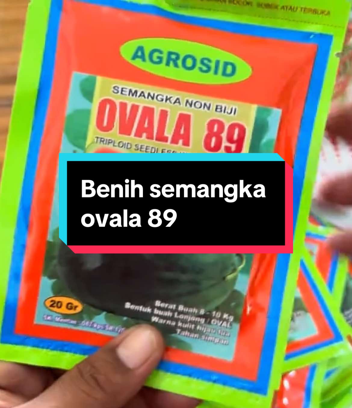 #ovala #petaniindonesia🇮🇩🇮🇩🇮🇩🌿🌿 #fypシ゚ #petanimuda #petanimilenial #benihberkualitas #benihunggul #tokobenih #pencaparbenihsemangka 