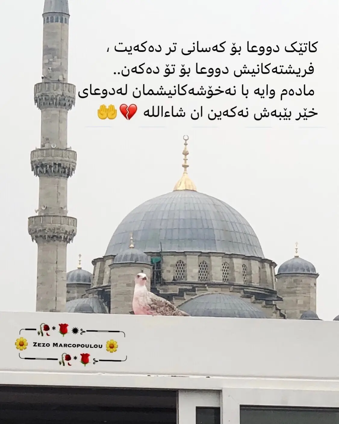 #اللهم_امين @Zezo Qader #لایک_کۆمێنت_فۆڵۆ_لە_بیر_مەکەن 