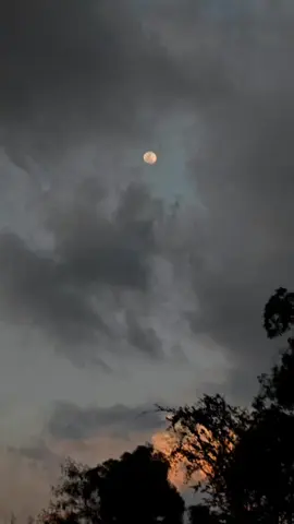 hr khta ki Hoti ha ha koi na koi saza❣️🤍💓💤🎶🎶🎶🎶💖 Lovely song ❤️  #foryoupage❤️❤️ #Foryou #growmyaccount✅ #deartiktokviewsproblem🥺 #lovers #plz_supprt #wattsappstatus #fypppppppppppppppppppppp #lyrics_songs #romanticsong 