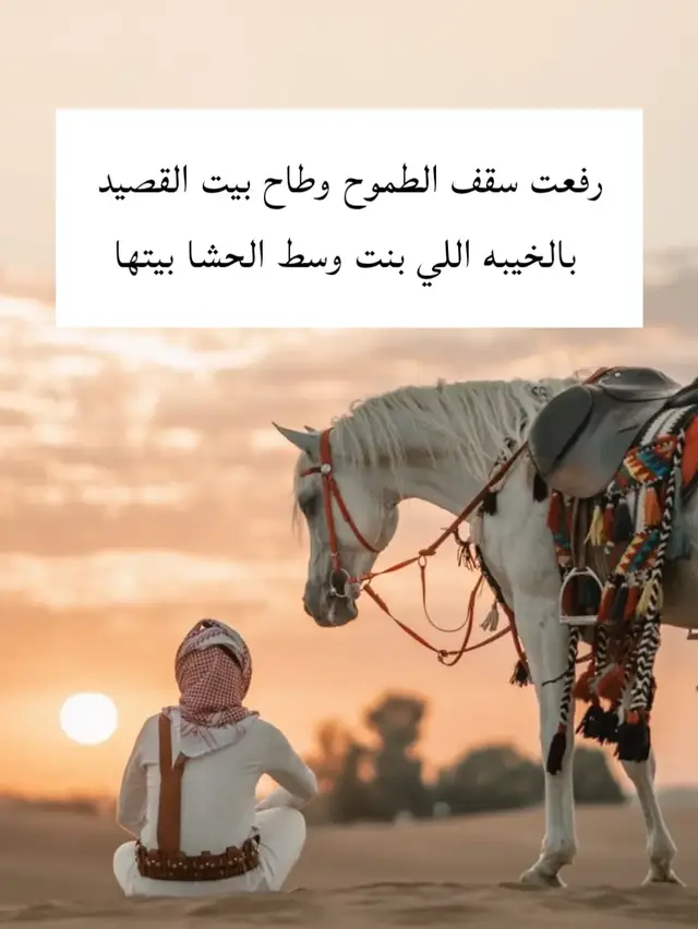 #creatorsearchinsights 