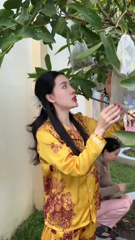 Qua mùa mận xanh đường xem lại clip củ thấy mê quá 😊#ncollagen 