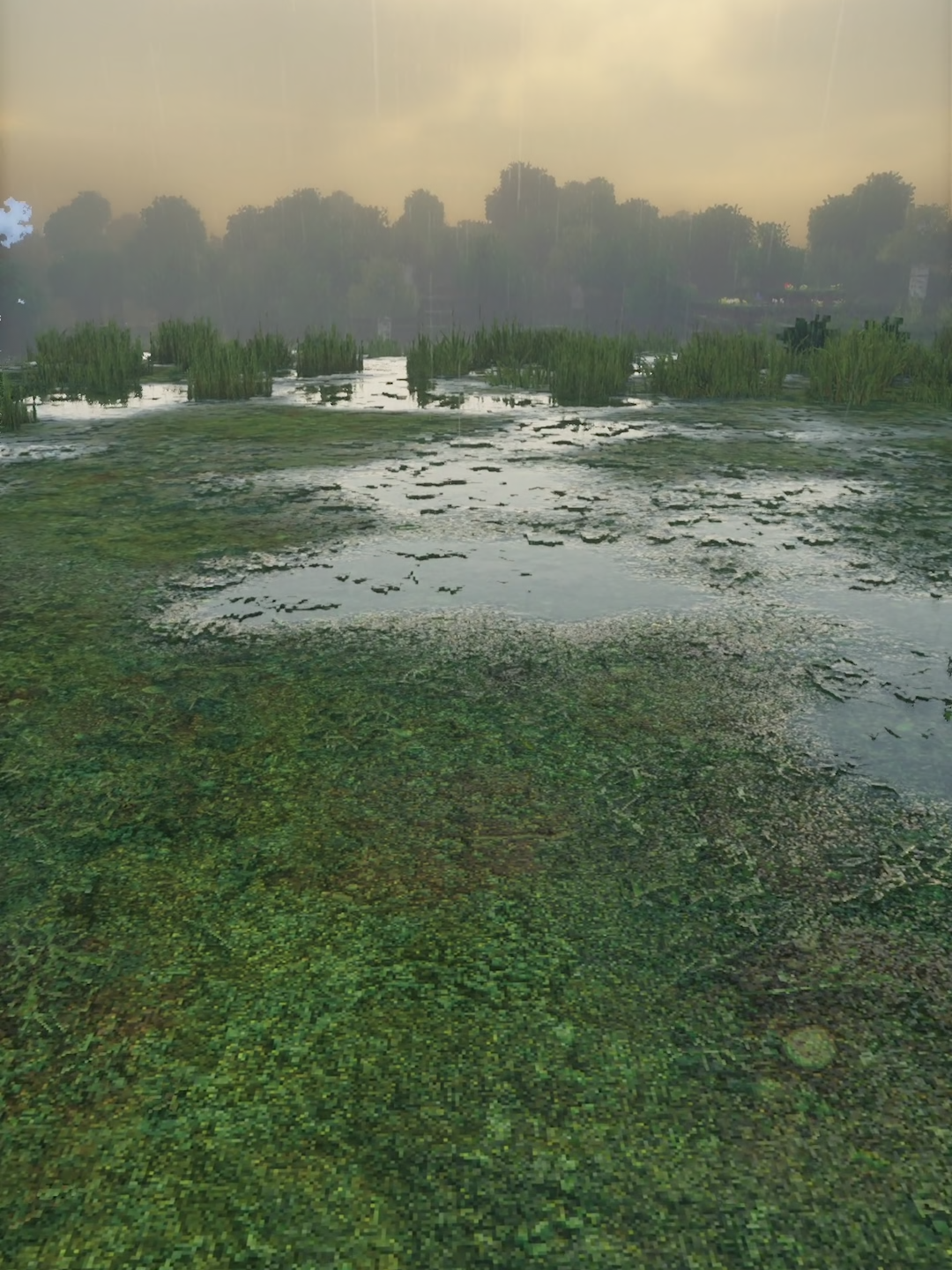 Rabbit Trap#Minecraft #fyp