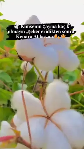 🥀💔