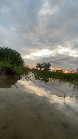 🥲❤️‍🩹 #Lyun🧞‍♂️ #lurey #foryou #foryoupage #flypシ 