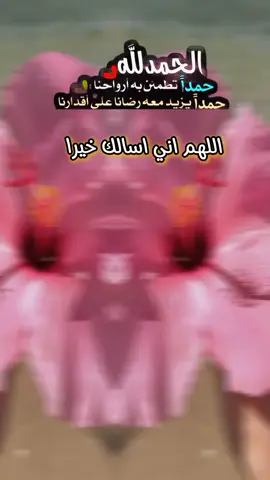 #CapCut #لحمدلله_دائماً_وابداً🌻🍂🤲 