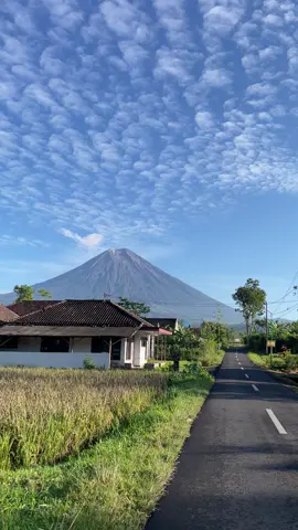 🤩 #terassemeru #cepekalfamart #gl100 #lumajang #pronojiwo #sadvibes #gl100indonesia #terassemerupagihari #semeru #fyp 