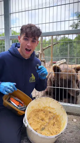 ASMR time for Diego the Brown Bear 🐻😂 what do you think was his FAVOURITE?! 🤩 and what should he try next 🍯 @jimmysfarmhq 