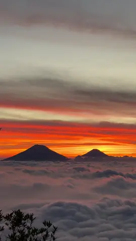 Mashallah cantik-tik-tik  🫶🏻🏔️ #fyp #merbabuviasuwanting #pendakigunung 
