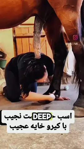 💖 A Girl and Her Horse: A Bond of Love, Care & Freedom 🌾👧#GirlAndHorse #HorseLove #HorseCare #HorseRidingLife #FarmGirls #EquestrianLife #StableBond #HorseCompanions #HorsePassion #TrustAndRide #tiktok #viral #breeding #meeting #foryou