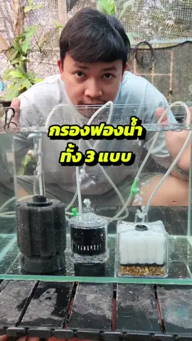 กรองฟองน้ำ #กรองฟองน้ํา #กรองฟองน้ําตู้ปลา #กรองฟองน้ําแบบต่อออกซิเจน #เลี้ยงปลาสวยงาม #tiktokshop #เก่งคุง 