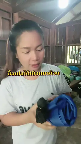 เอาอะไรมาไม่คุ้ม #เปลผ้าร่ม #เปลทหาร #เปลสนาม #เปลนอน #เปล #ธิชาแม่ค้าตัวกลม @ธิชาแม่ค้าตัวกลม🌻 
