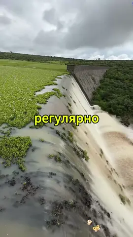 #рекомендации#истории #сосмыслом #невыдуманныеистории факты из средневековья о которых вы не знали #историиизжизни #перепискапранк#реальныеистории