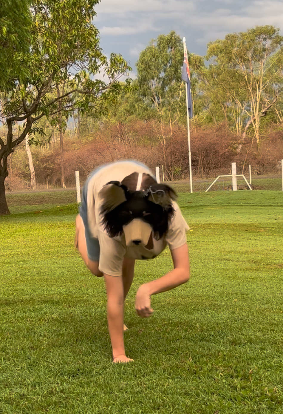 Do you see the kangaroos in the back? YOO WAIT THIS VIDEO IS A FEW MINS BEFORE I NEARLY GOT STRUXK BY LIGHTNIGN 😭 #k3lpies #therian #foryoupage #quadrobics #furry #viral real ones remember this video #alterhuman 