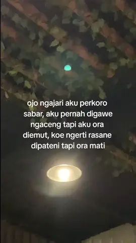 #jowostory #xyzbca #fypシ゚viral #jowopride #storywa 