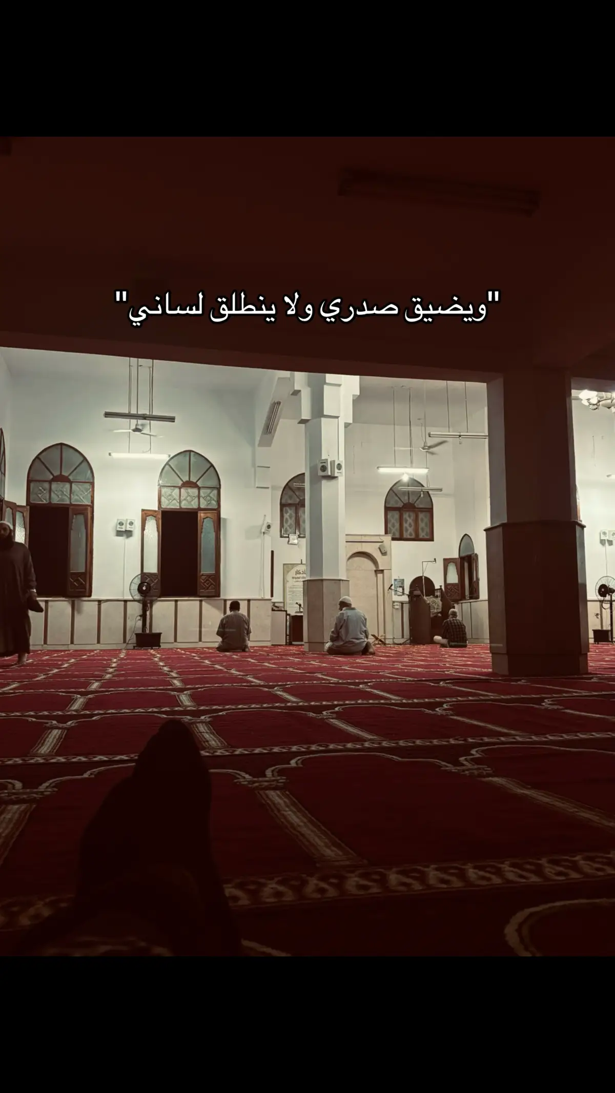 #Mora_🦅🌪️ #fybシ #viral #foryoupage #قران_كريم 